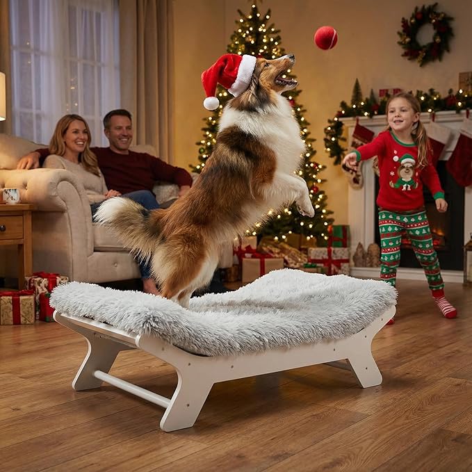 Muihood Elevated Dog Bed Wooden Frame and Mattress with Washable Cover, White M Up to 50 lbs