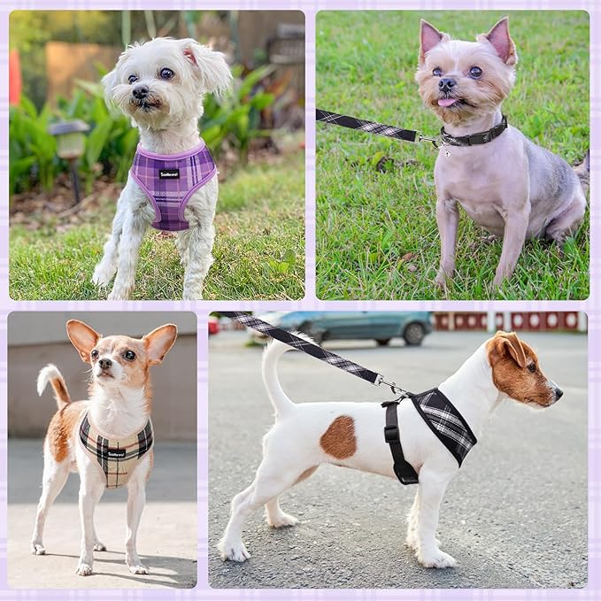 SCENEREAL No Pull Dog Harness Collar and Leash Set Small Medium Sized Dog, Soft Mesh Step in Puppy Harnesses, No Chock Plaid Adjustable Pet Vest for Outdoor Walking Training and Running, Black S