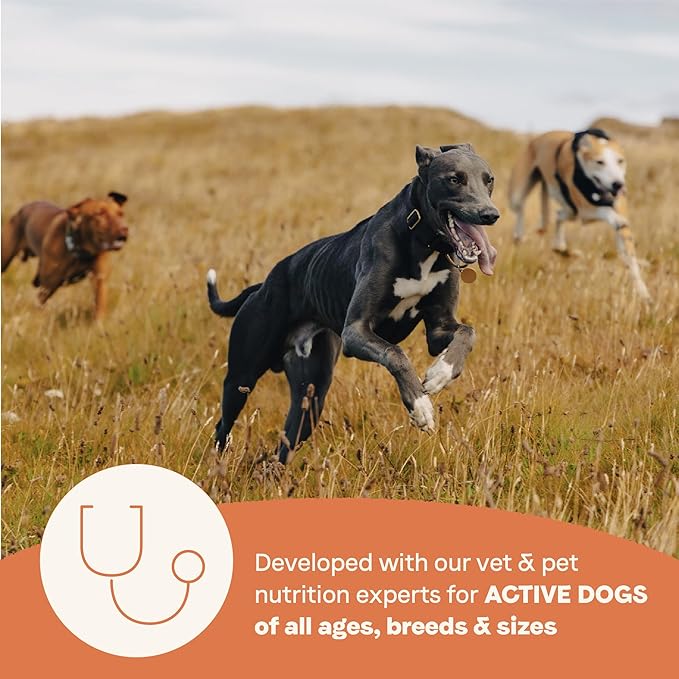 Canidae All Life Stages High Protein Multi-Protein Recipe with Chicken, Turkey, Lamb, and Fish – Premium Dry Dog Food for All Ages, Breeds, and Sizes– 27 lbs.