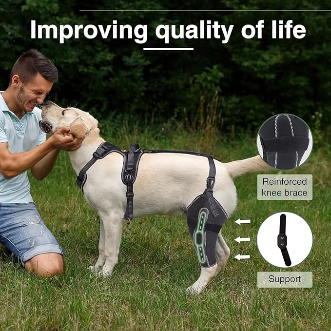 Dog Knee Brace for ACL/CCL Injuries,Torn Ligament,Luxating Patella - Rear Leg Support,Pain Relief,Joint Warmth,Black,Left Legs,Size:Customized