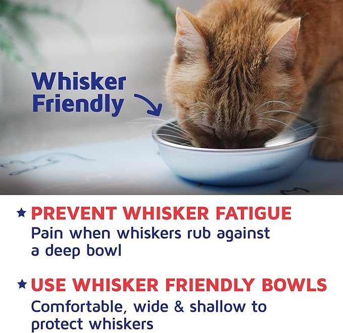 Stainless Steel Cat Bowls for Food & Water by Americat – Made in USA – Dishwasher Safe, Human Grade, Whisker Friendly Dishes (6 Bowls)