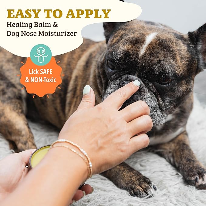 Natural Dog Company Snout Soother Balm Tin 2 oz – All Natural Dog Nose Balm for Dry, Cracked Snouts – Organic Moisturizing & Soothing Balm – Lick-Safe Snout Care, Made in USA