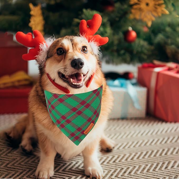 ADOGGYGO Christmas Dog Bandanas 2 Pack, Red Green Plaid Pet Xmas Scarf Bib, Multiple Sizes, Christmas Bandanas for Medium Large Dogs (Large)