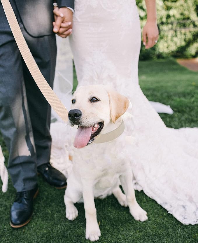 Soft Corduroy Dog Collar and Leash Set Adjustable Durable Wedding Dog Collars with Metal Buckle and Lead for Large Dogs,Beige