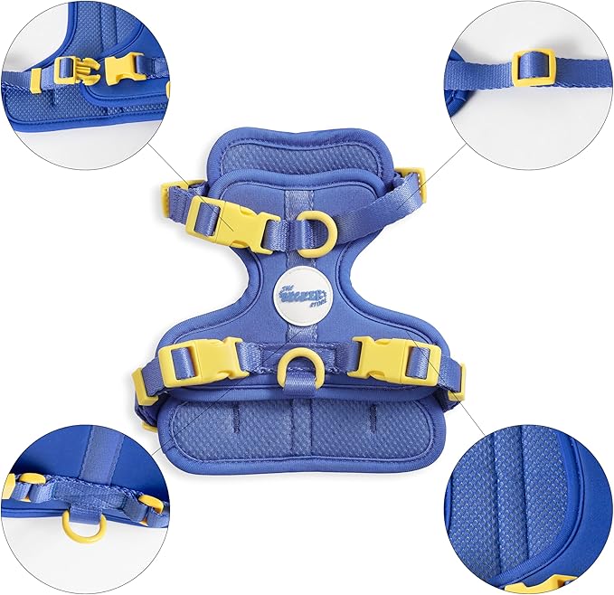 HNS1000C Arlo Extra Small Adjustable Soft Padded No Pull Pet Harness with 3 Buckles and 3 Leash Clips, Curaçao