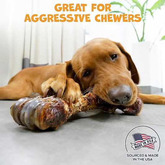 Beef Shin Bones for Dogs - Liver Coated Long Lasting Dog Chews for Aggressive Chewers - Rawhide-Free Big Bones for Large Dogs - Healthy Large Dog Bone (2 Pack)