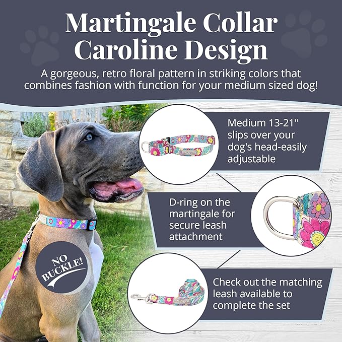 Lucky Love Dog Martingale Collar, Premium No Slip Martingale Collar for Medium Dogs, Great for Whippets, Greyhounds, and More (Caroline, Medium)