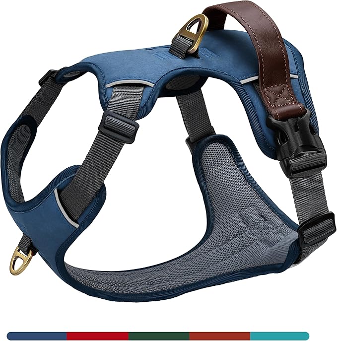 No Pull Dog Harness Small Sized Dog,Stylish PU Leather Vest with Easy Control Handle,No Choke Front Clip with 2 Metal Leash Clips,Reflective & Adjustable for Walking,Blue,Chest 19-24"