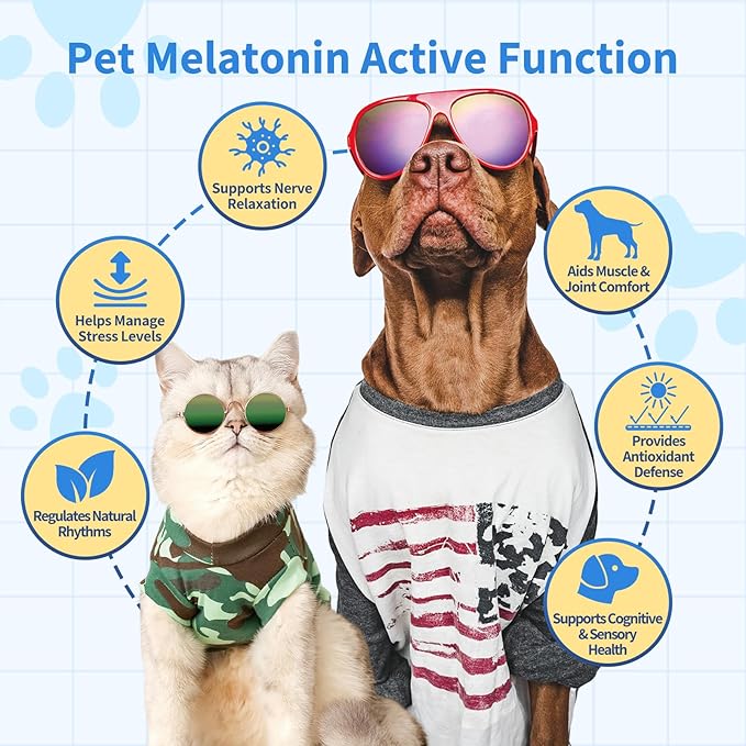 Calming Drops for Dogs & Cats