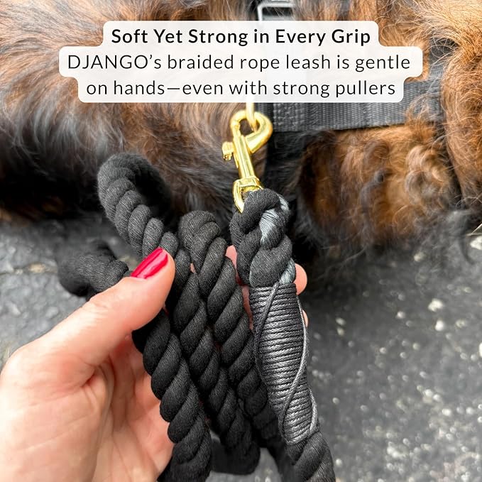 DJANGO Cotton Rope Dog Leash 5ft – Handcrafted Dog Leash and Black Braided Leash for Small, Medium, and Large Dogs – Durable 5 Foot Training Lead with Gold Hardware and Whipped Ends – Black