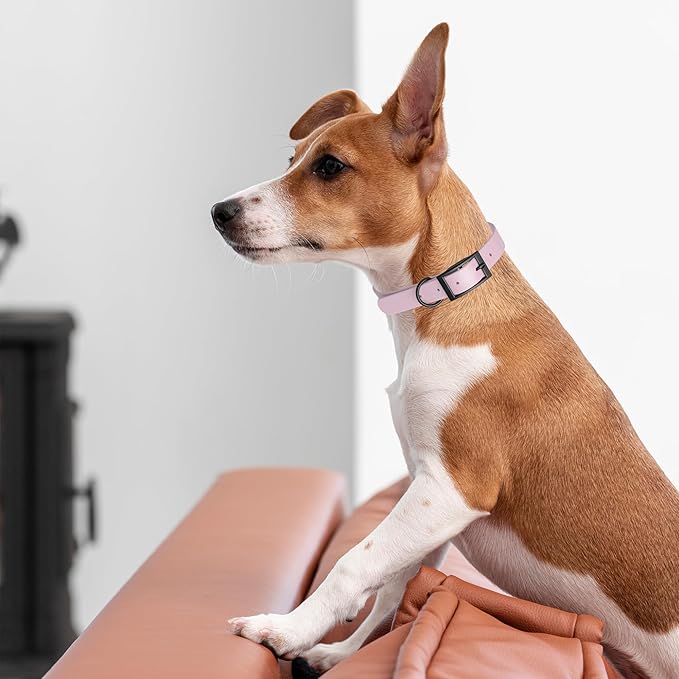 Dogline Biothane Coated Webbing Dog Collar with Black Metal Hardware: Durable Easy-Clean Everyday Collar for Dogs - Comfortable Adjustable Odor-Resistant Pet Collar, W1 x L18-22, Pastel Purple