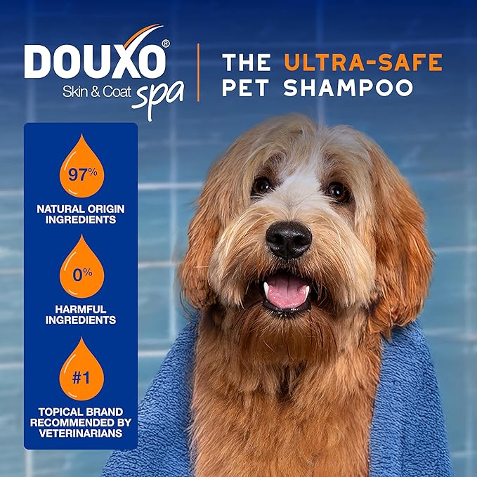 DOUXO® Skin & Coat SPA – Ultra-Safe Combo for Dogs, 2-in-1 Conditioning Shampoo (16 fl oz, Cleanses & Conditions) + Multipurpose Wipes (100 Count, Refreshes Coat)