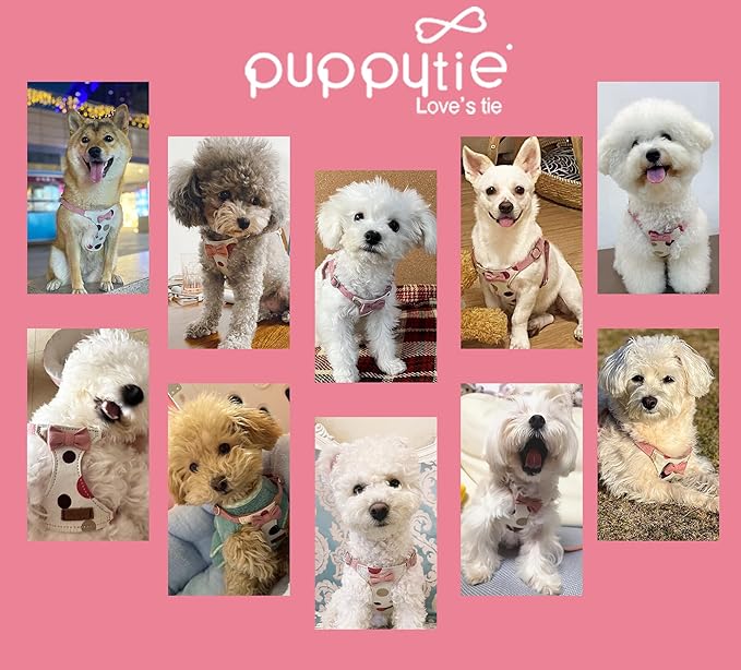 Puppytie No Pull xs Dog Harness with Multifunction Dog Leash,Soft Adjustable No Choke Escape Proof Pet Harness Vest,Polka dots Pink,XS