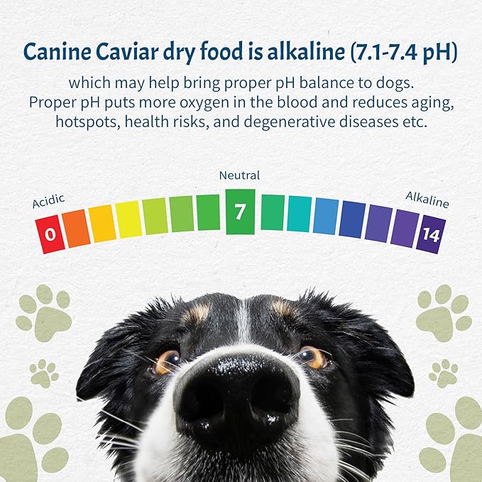 Canine Caviar - Small Breed: Chicken & Whole Ground Oats, Alkaline Dry Dog Food, Limited Ingredients, Gluten-Free, Based on Science & Research, Veterinary Alternative Diet (4.4 Pound Bag)