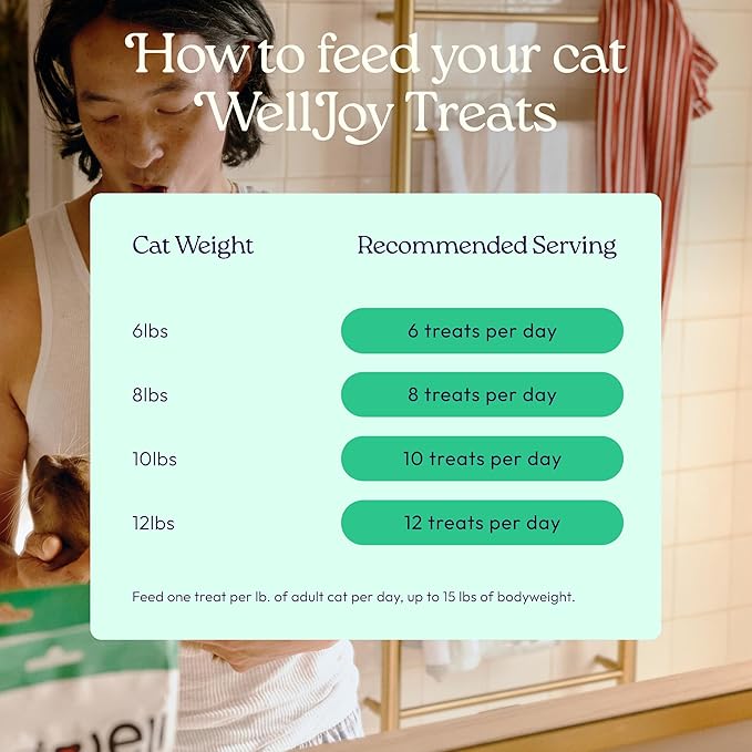 WellJoy Cat Treat Dental+ GutBoost | Helps Reduce Tartar | Helps Freshen Breath | Dual-Benefit GutBoost Formulation | Vet Formulated | Made in USA | Made with Real Chicken | 120 Soft Chews