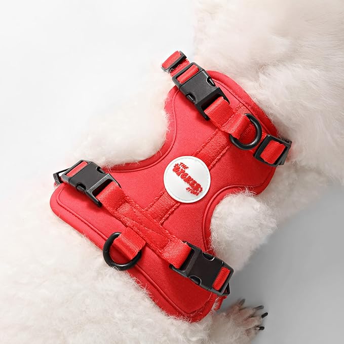 HNS1000M Arlo Extra Small Adjustable Soft Padded No Pull Pet Harness with 3 Buckles and 3 Leash Clips, Shirley