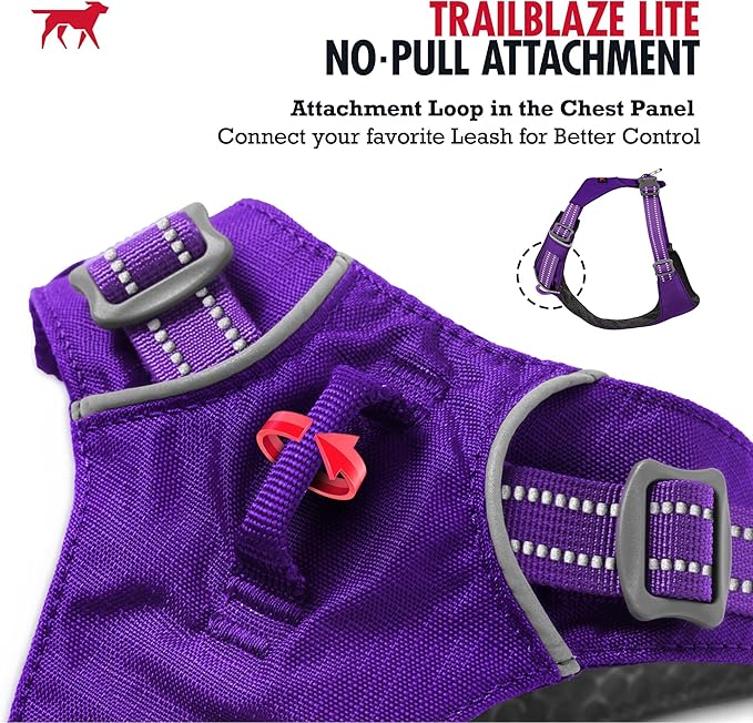 Tuff Pupper All-Day Wear Dog Harness | for Walking, Trail Running, Hiking | Front & Back Leash Clips | Reflective Trim | Easy On/Off Buckles | Lightweight Breathable | No Pull Design (XXS, Purple)