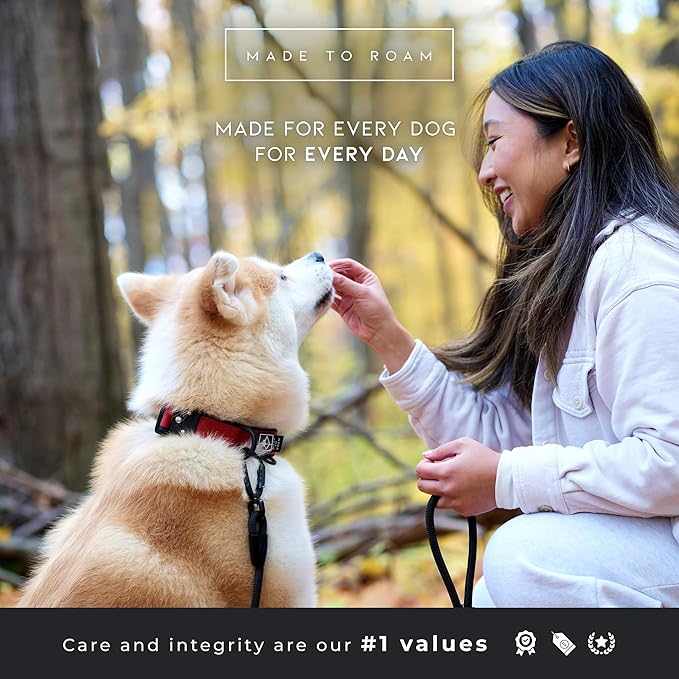 MADE TO ROAM Comfort Collar - Adjustable Nylon Dog Collar with Soft Comfortable Padding, Light Aviation Aluminum Metal Buckle for Small, Medium and Large Dogs (Michigan Autumn, Size 2)