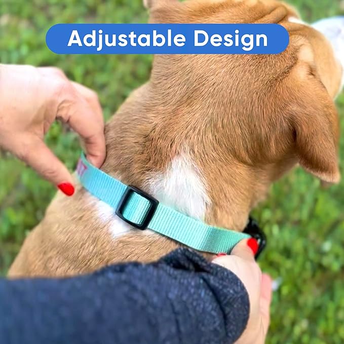 Pawtitas Personalized Dog Collar Extra Small Dog Collar Embroider with Name Phone Number Puppy Collar Adjustable Customized Collar for Extra Small Dogs Breeds Puppy Pink Dog Collar