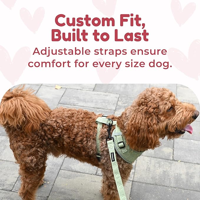 No Pull Puppy Harness and Leash Set – No Choke Neoprene Dog Harness for Large Dogs (40–60lbs), Green(L), Lightweight Breathable Mesh with Unique Heart Pattern, Adjustable Fit