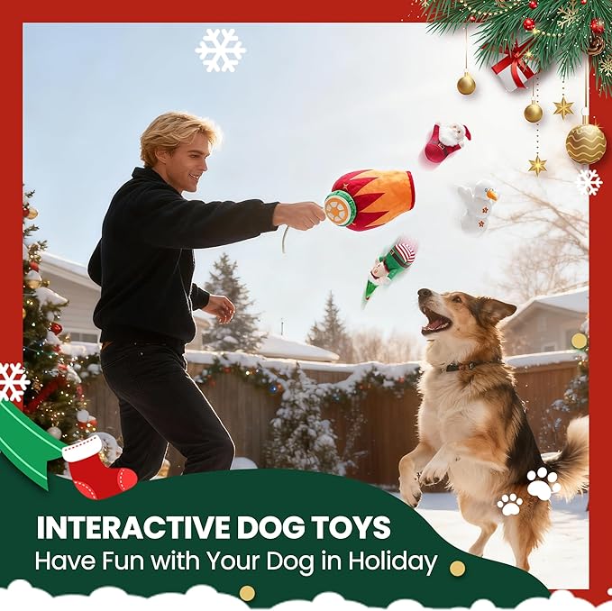 Nocciola Christmas Squeaky Dog Toys 4PCS, Interactive Hide and Seek Dog Toys Christmas Theme- Santa/Snowman/Elf in Cannon Toys Plush, Crinkle Dog Chew Toys for Large Medium Small Dogs