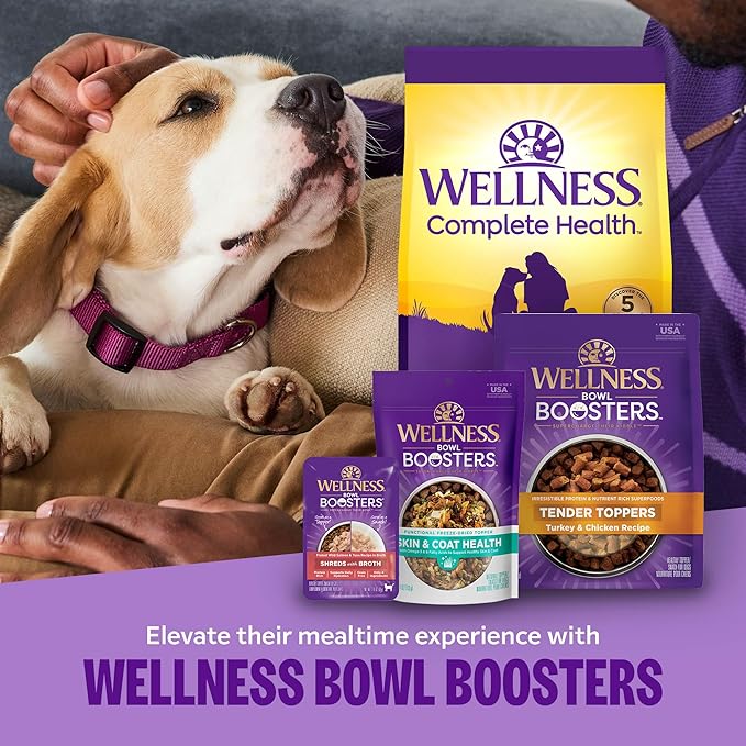 Wellness Complete Health Sensitive Skin & Stomach Dry Dog Food, Wholesome Grains, Natural, Salmon & Rice Recipe, (24-Pound Bag)