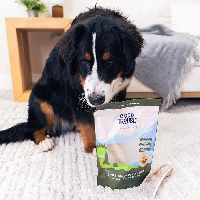 Good Trouble Premium Elk Antlers for Large Dogs – 1 Pack Split - All-Natural, Shed Antler Chews for Dental Health & Calming - Durable Dog Bones - Cruelty-Free, North American Sourced