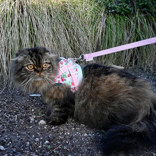 Travel Cat Strawberry Shortcake Harness & Leash Set - Adjustable Fit Mesh Cat Harness with Reflective Strap - Harness for Cats, Kittens for Outdoor (Strawberry Shortcake, Large)