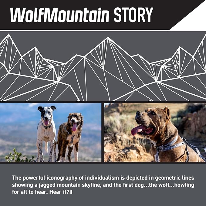 Wolfgang Heavy Duty Martingale Dog Collar with Quick Release Nylon Buckle for Walking & Training, WolfMountain Print, Medium