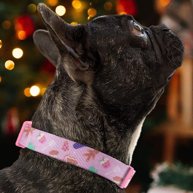 Pawtitas Soft Adjustable Puppy Collar Leash Harness Sold Separately Personalized Customizable Dog Collar Embroidered Customize Pet Name Phone Number Christmas Dog Collar Extra Small Christmas Cookies