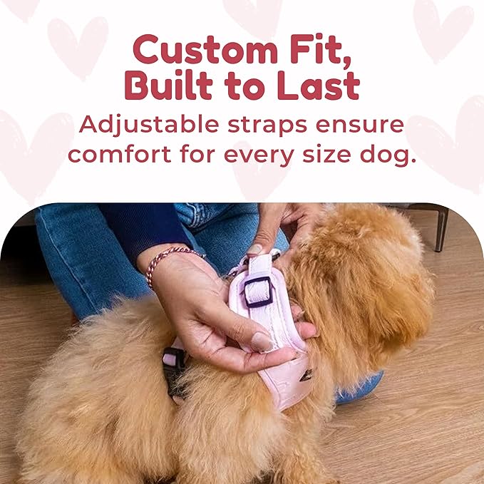 No Pull Neoprene Dog Harness and Leash Set for Small Dog, Neck(11.5–14 in), Adjustable Soft Mesh Design, Pink XS -Lightweight No Choke Fit, Step-in, Escape-Proof Comfort