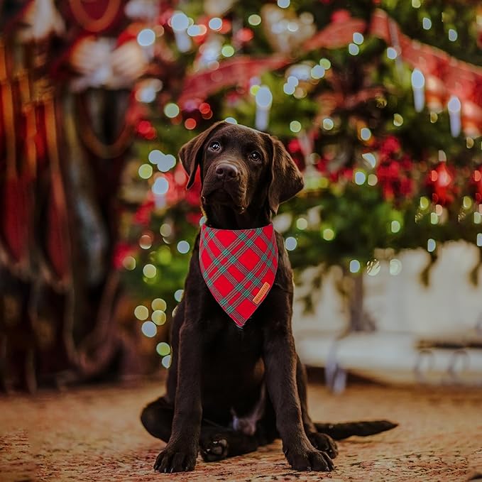ADOGGYGO Christmas Dog Bandanas 2 Pack, Red Green Plaid Pet Xmas Scarf Bib, Multiple Sizes, Christmas Bandanas for Medium Large Dogs (Large)
