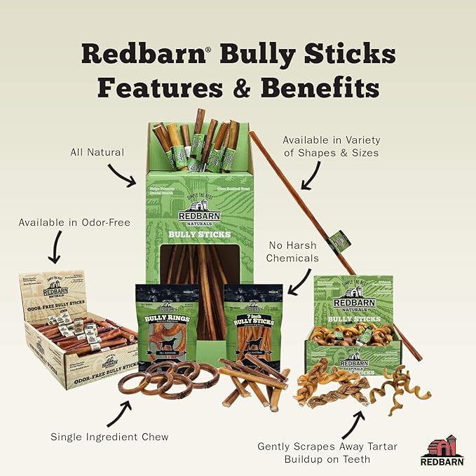 Redbarn Pet Products All-Natural 12" Braided Bully Sticks for Dogs - Premium Slow Roasted Long Lasting Chew Treats Made with 100% Beef - Single Ingredient Low Odor - 5 Count - Packaging May Vary