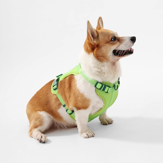 HNS1002B Arlo Medium Adjustable Soft Padded No Pull Pet Harness with 3 Buckles and 3 Leash Clips, Mojito