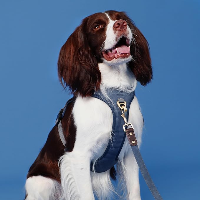 No Pull Dog Harness Small Sized Dog,Stylish PU Leather Vest with Easy Control Handle,No Choke Front Clip with 2 Metal Leash Clips,Reflective & Adjustable for Walking,Blue,Chest 19-24"
