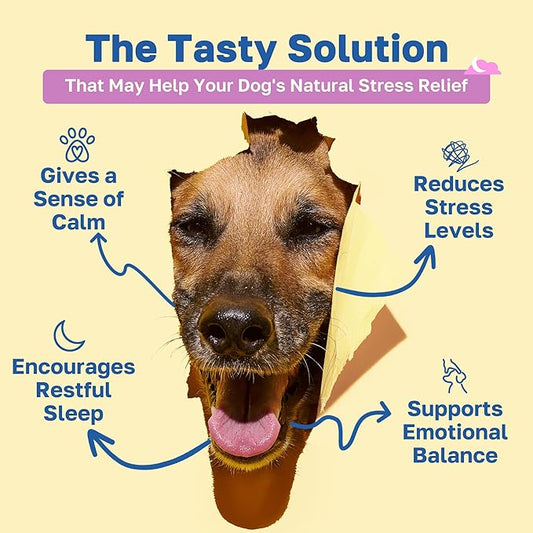Happy Paws Calming Chews for Dogs, Relaxation & Anxiety Support for All Breeds & Ages, Dog Sleep Aid with L Theanine & Chamomile, Vegan Peanut Butter Flavor, Organic, Non GMO, 200 Soft Chews