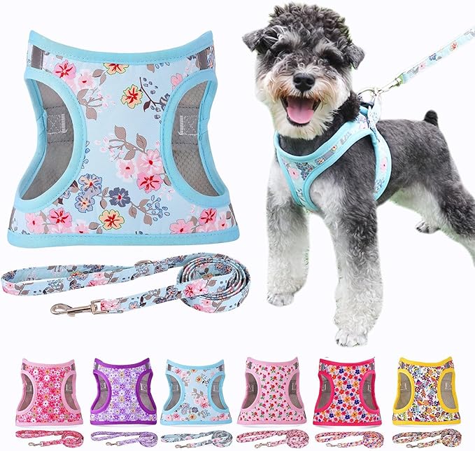 Moonpet Step in Dog Harness Leash Set- All Weather Reflective No-Pull Floral Pattern Padded Mesh Vest Harness for Cats Puppy Extra-Small Small Medium Large Dogs - Bell Orchid - XXS