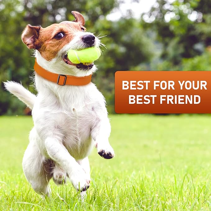 Biothane Dog Collar with Cobra Buckle - Made in USA - QR Code Dog Tag ID Included - Adjustable Heavy Duty Dog Collars for Medium Large Dogs - Waterproof Military Grade Tactical (3/4", Orange)