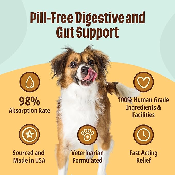Licks - Dog Digestion - Enzymes to Help Ease Digestion - LiquiPaks - 30 Use