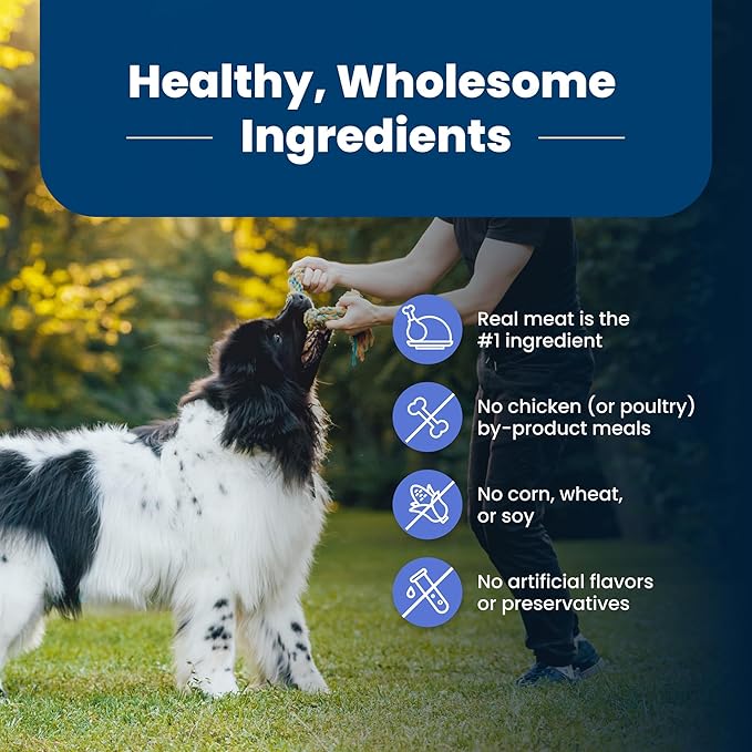 Blue Buffalo Life Protection Formula Healthy Weight Large Breed Adult Dry Dog Food for Weight Control, Made with Natural Ingredients, Chicken & Brown Rice Recipe, 30-lb Bag