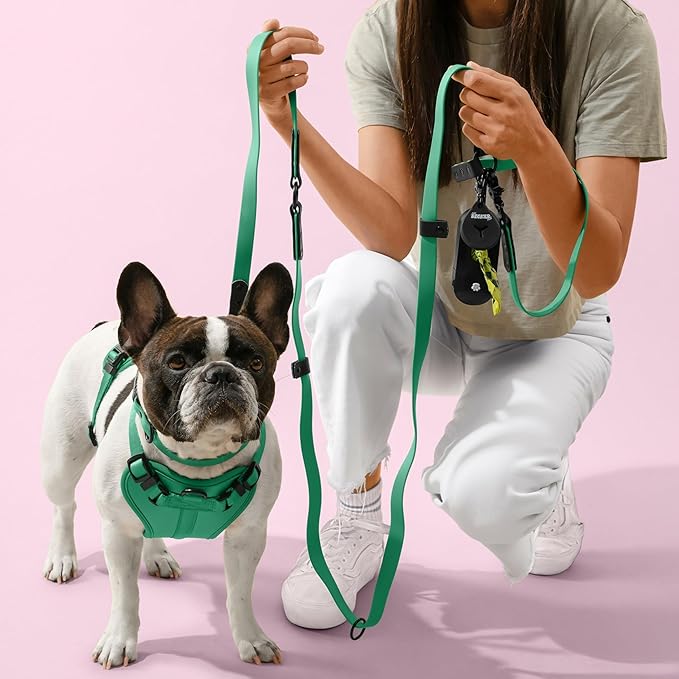 HNS1002K Arlo Medium Adjustable Soft Padded No Pull Pet Harness with 3 Buckles and 3 Leash Clips, Julep