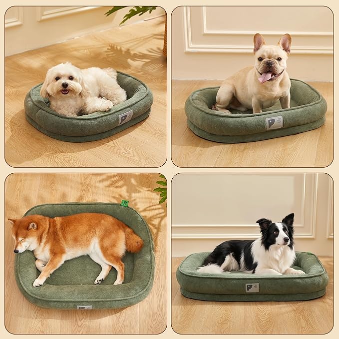 Orthopedic Dog Bed for Large Dog, Washable with Removable Cover&Non-Slip Bottom with Four-Sided Bolster Cushions,Durable Beds Large Sized Green L