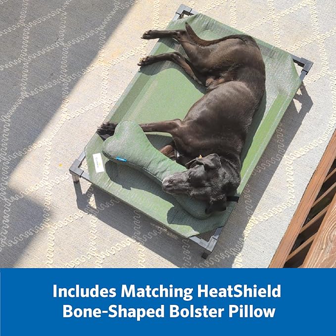 Coolaroo Pro Elevated Dog Bed with HeatShield Fabric – Advanced Cooling Raised Cot for Medium & Large Breeds, Easy-Clean, Low-to-Ground Access, Bonus Bolster Pillow – Great Sandy Beige