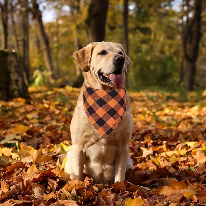 ADOGGYGO Fall Dog Bandanas 2 Pack, Halloween Thanksgiving Holiday Pet Scarf, Multiple Sizes Offered, Orange Plaid Fall Bandana for Large and X-Large Dogs (X-Large)