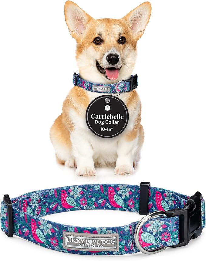 Lucky Love Dog - Adjustable Dog Collar with Easy Click Buckle for Small to Large Dogs, Durable, & Comfortable for Male & Female Dogs, Pet Collar for Puppies & Adult Ones - Carriebelle, Small