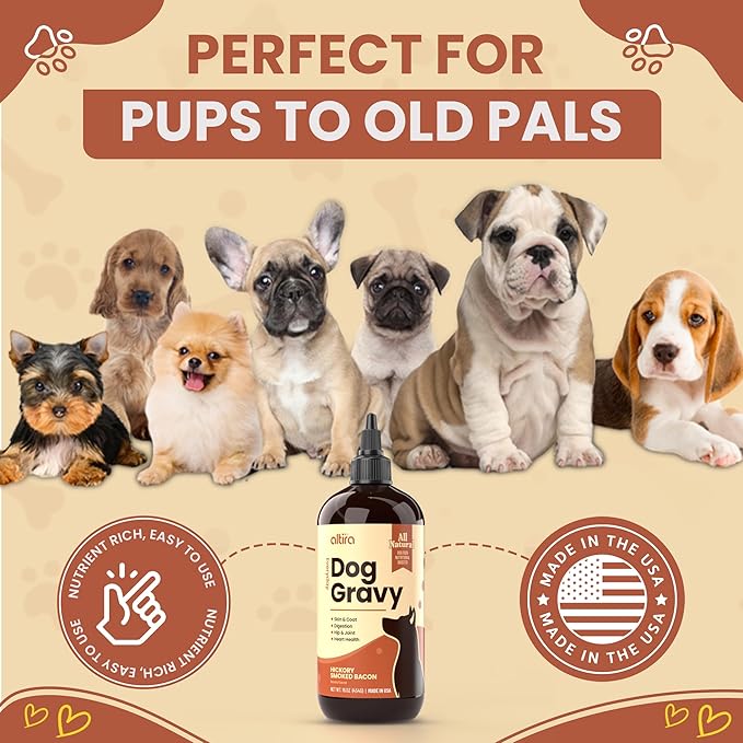 Everyday Dog Gravy - Premium Wet Dog Food Gravy Toppers for Dry Food – Tasty & Nutritious with Essential Vitamins and Supplements – Hip and Joint Supplement (Bacon)