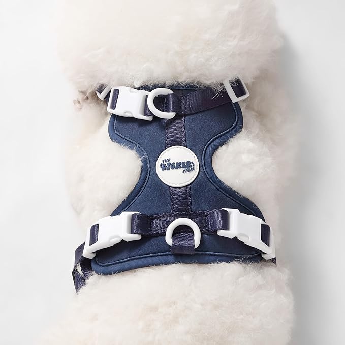 HNS1000J Arlo Extra Small Adjustable Soft Padded No Pull Pet Harness with 3 Buckles and 3 Leash Clips, Highball