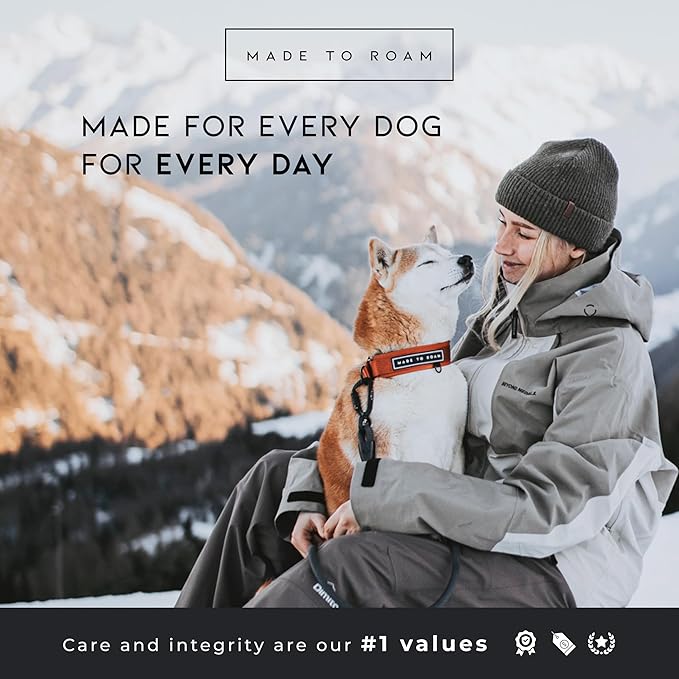 MADE TO ROAM Premium Everyday Dog Collar - Martingale Style No Pull Vegan Leather Collar, Heavy Duty and Lightweight for Small, Medium, Large Dogs (Maine Marina, Size 6)
