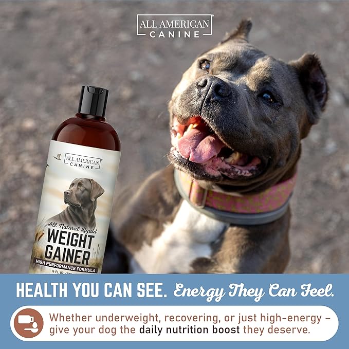 Dog Weight Gainer Liquid – High Calorie Dog Food Supplement for Rapid Weight Gain, Mass, and Recovery – Appetite Stimulant – 60 Servings