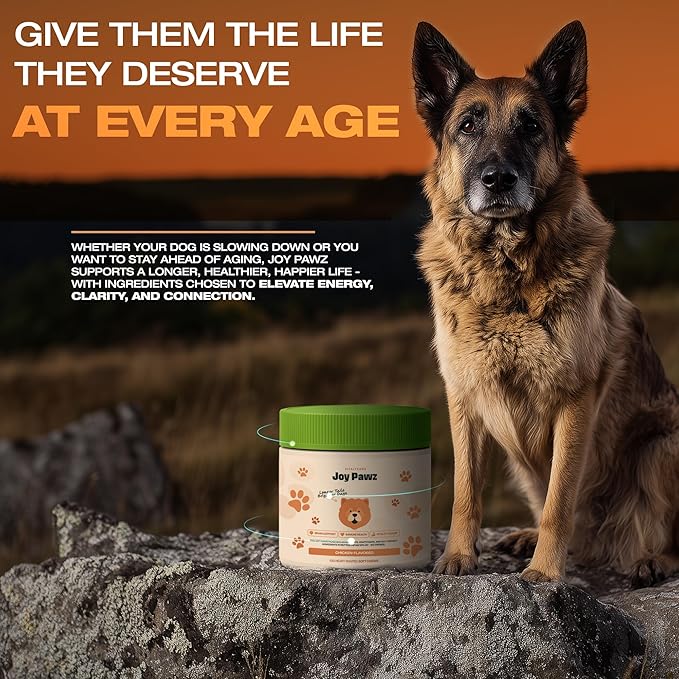 Senior Dog Supplement & Raise NAD+ Levels, Anti Aging, Tumeric, Multivitamin, Probiotics - Soft Chews - Brain, Joint & Immune Support – Chicken Flavor, 100pc